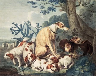 Retratos de perros, grabado por Daniel Lerpiniere, pub. por John y Josiah Boydell, 1799